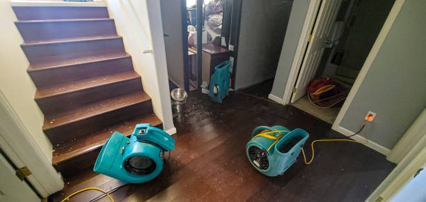 Best Water damage cleanup near me  in Hudson, MI