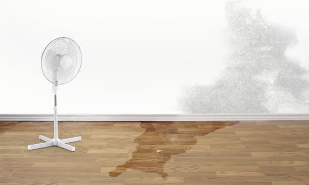 Best Water damage restoration near me  in Hudson, MI
