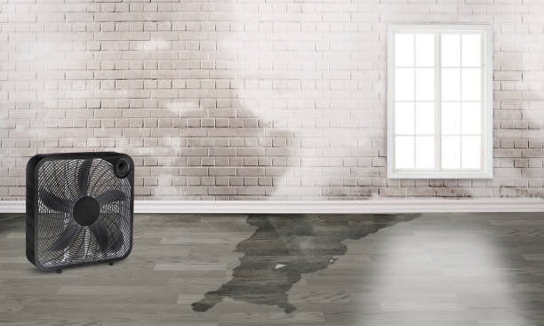 Best Fire Damage Restoration  in Hudson, MI