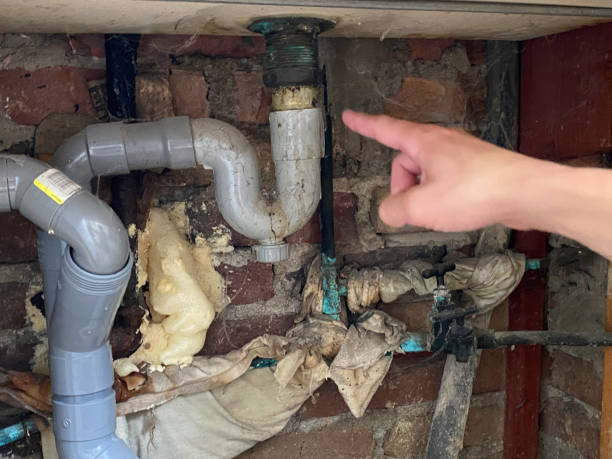Best Commercial water damage restoration  in Hudson, MI