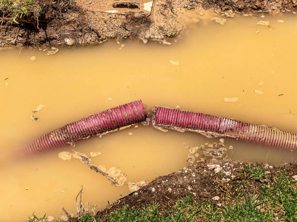 Best Commercial water damage restoration  in Hudson, MI