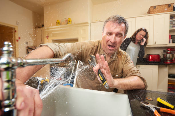 Best Commercial water damage restoration  in Hudson, MI
